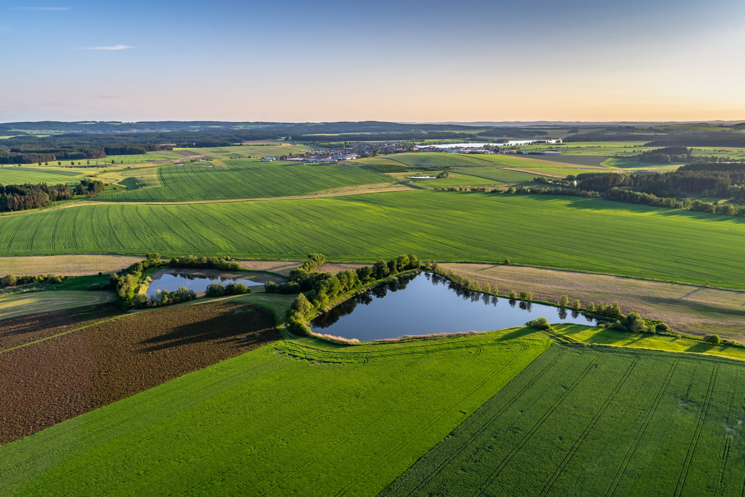 BNG - Biodiversity Net Gain Statutory Metric