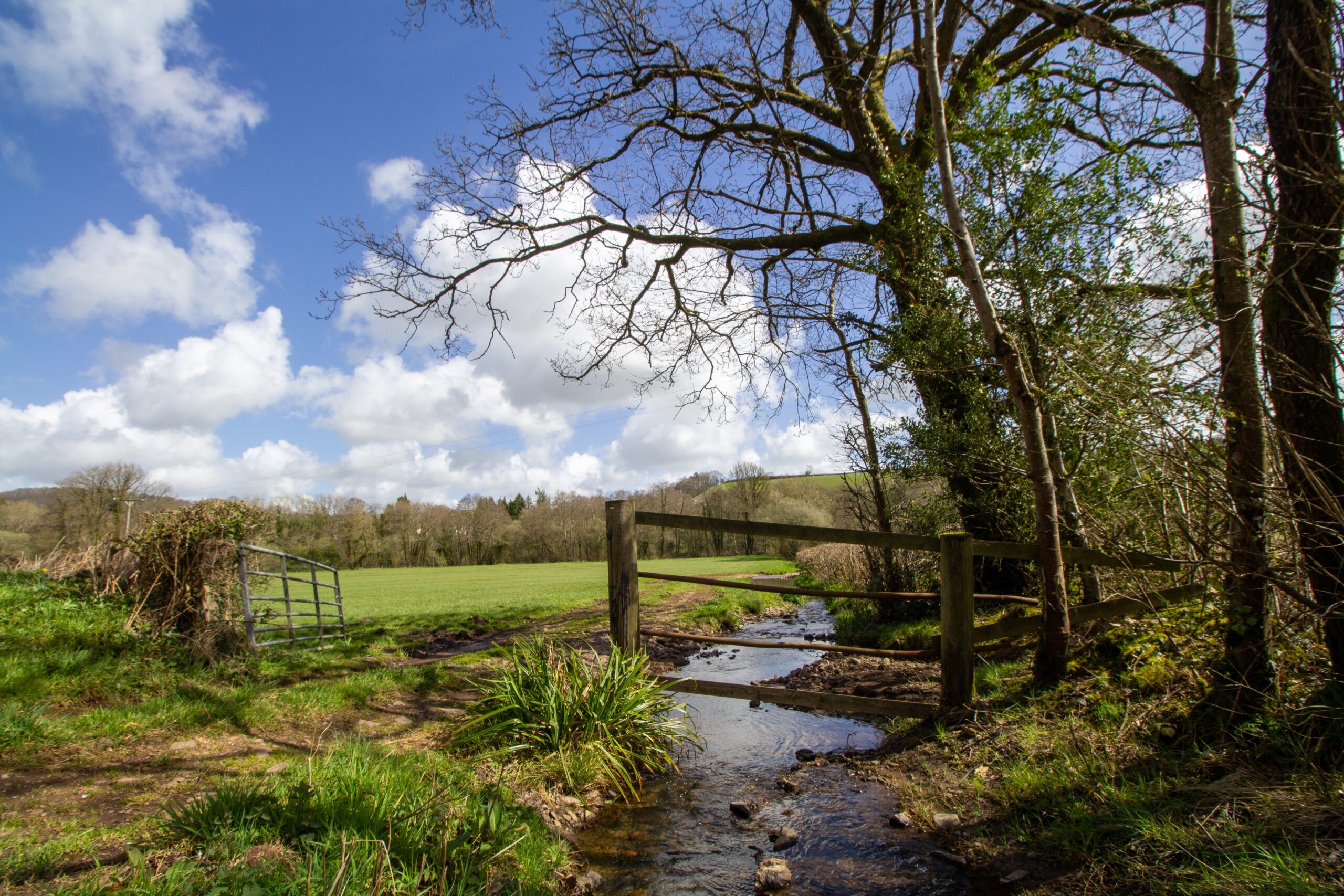 5 things developers need to know about River Condition Assessments and BNG