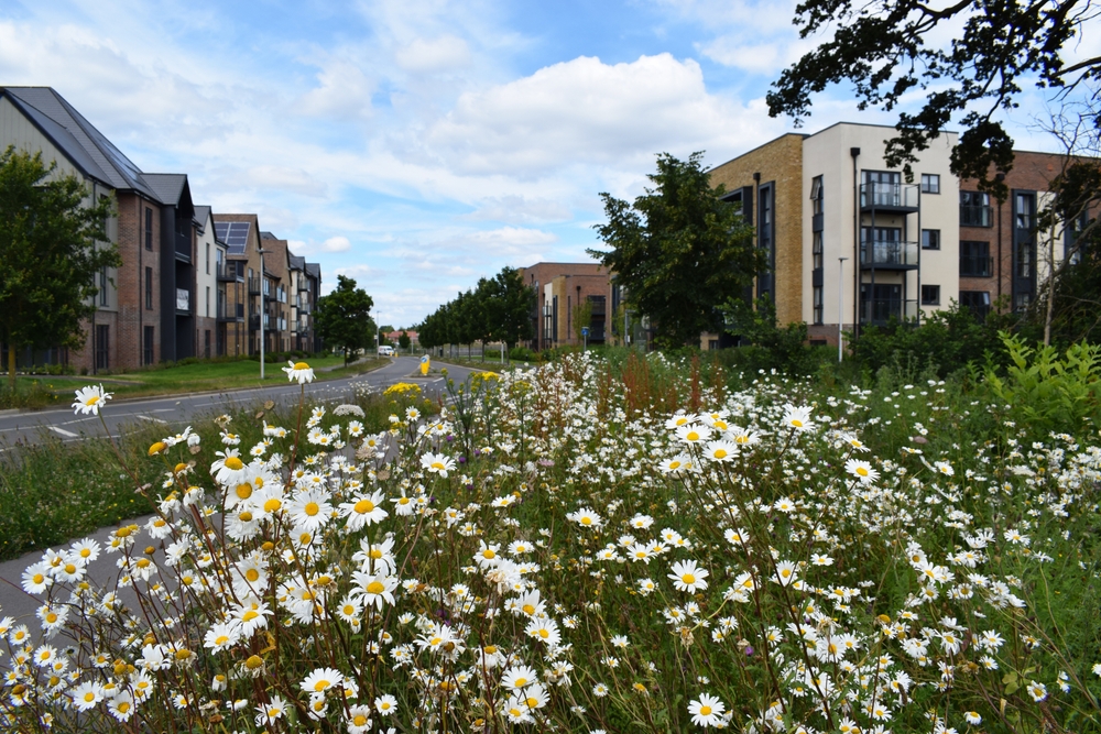 Defra Statutory Biodiversity Metric or Small Sites Metric: What’s your best approach?