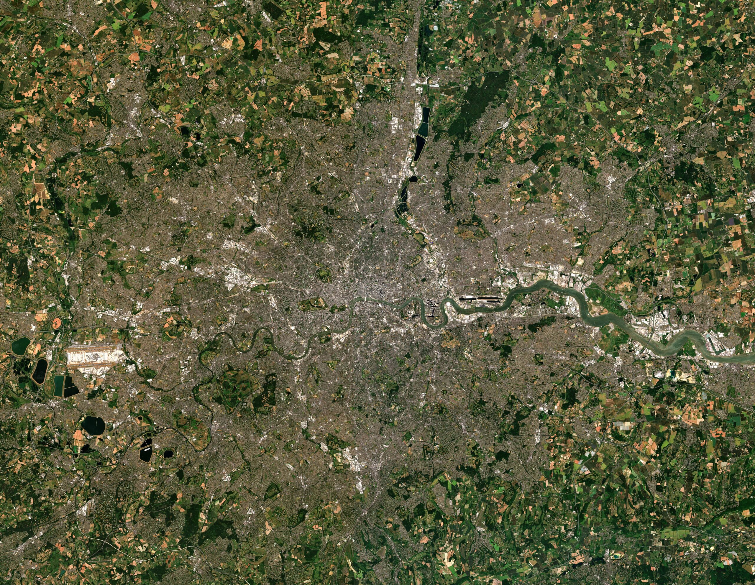 5 Key Benefits of Remote Sensing in Biodiversity Measurement and Conservation