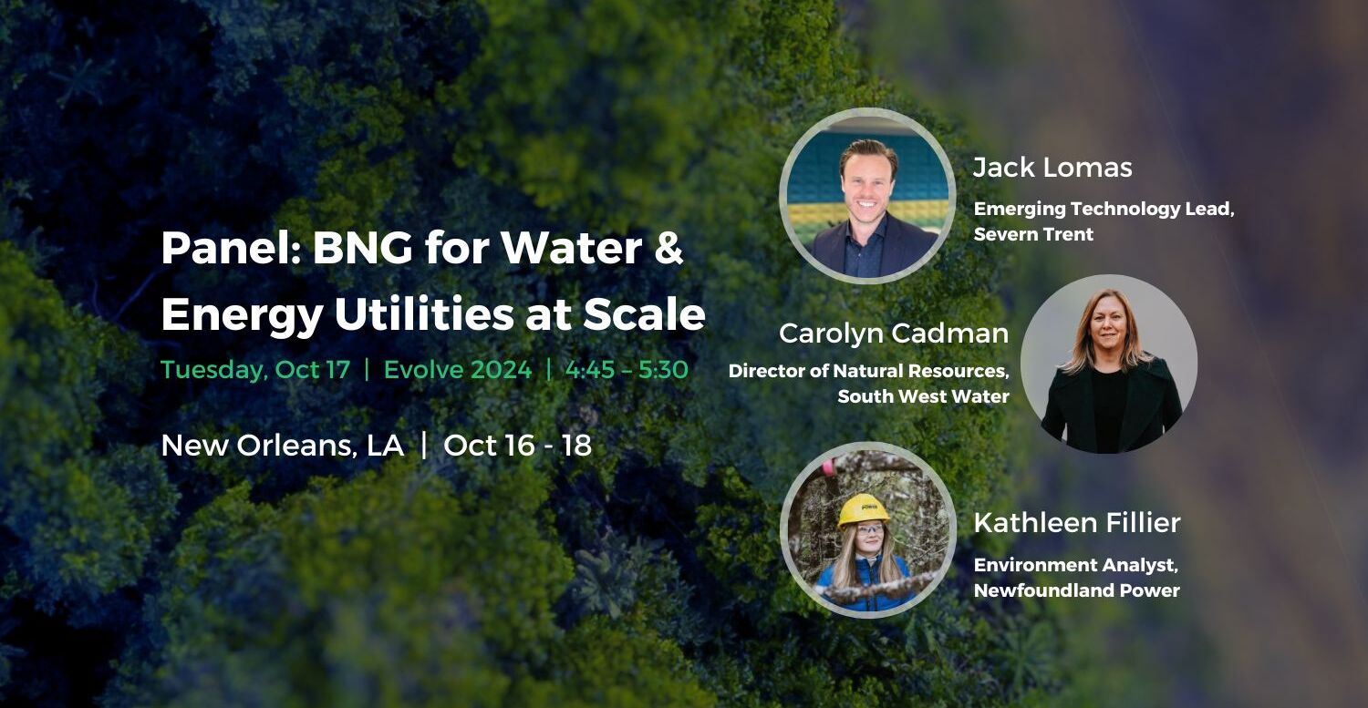A Panel Discussion You Can’t Miss: BNG for Water and Energy Utilities at Scale