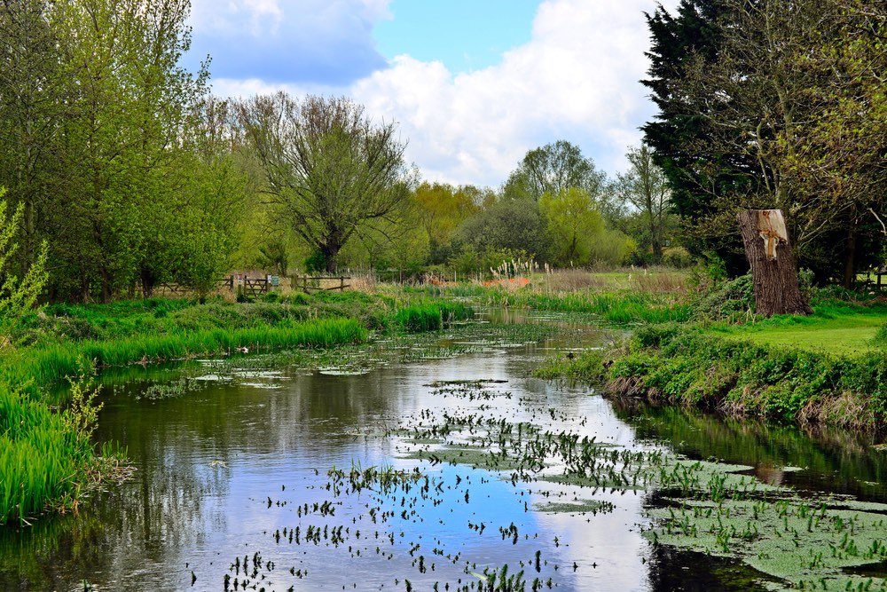 BNG planning alert: New guidance on irreplaceable habitats