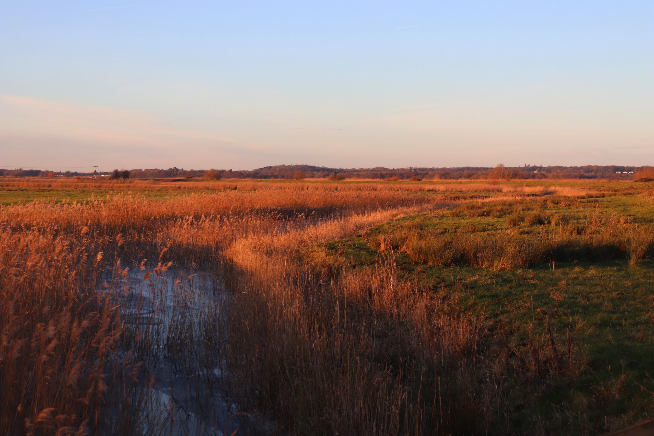 Langley Abbey Environment Project Completes its First BNG Section 106 Agreement with LPA