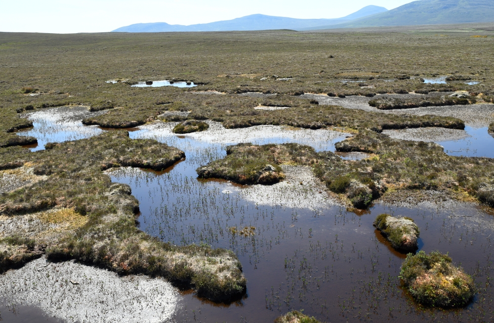 Alt="peatland"