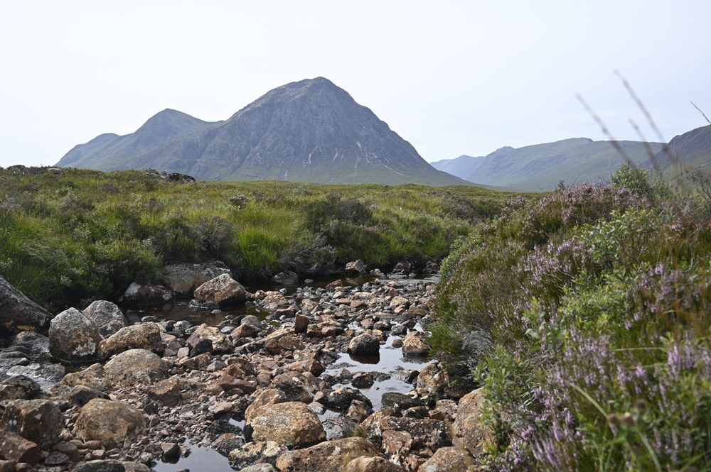 Scotland steps up efforts to bring Biodiversity Net Gain into focus
