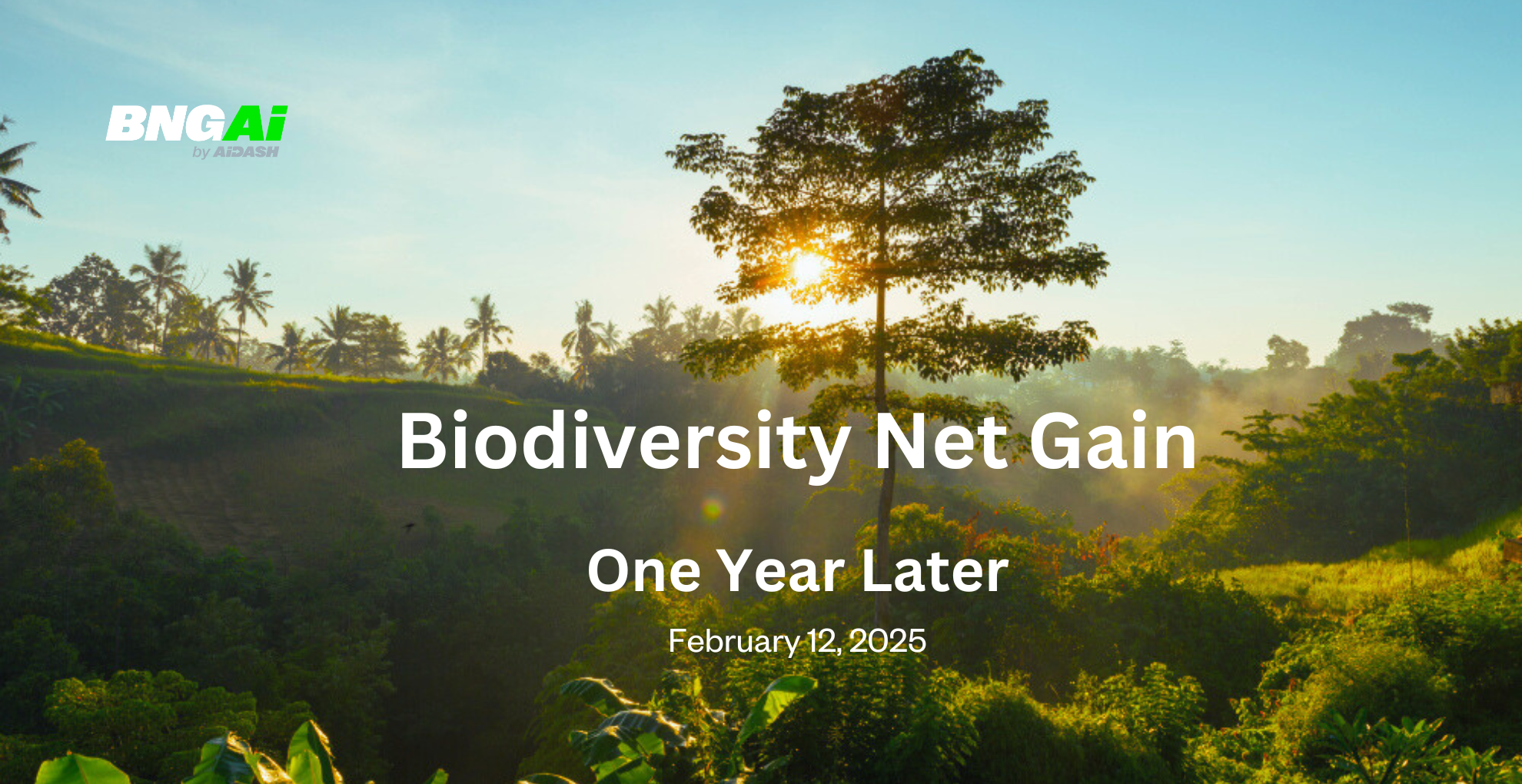 A Year in Biodiversity Net Gain: Reflections on Impact, Challenges and Progress