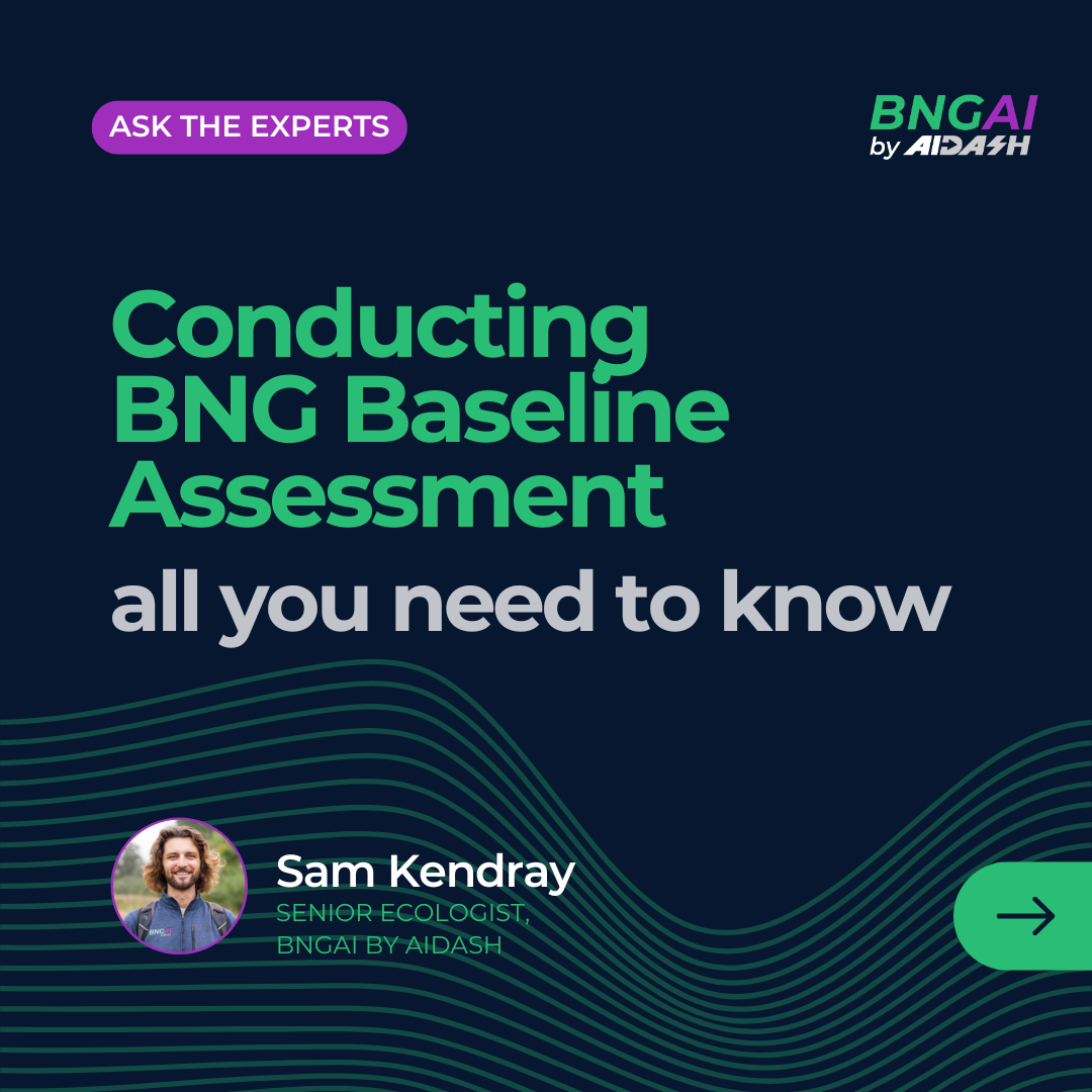 Ask the Experts: Things to Consider While Conducting a BNG Baseline Assessment