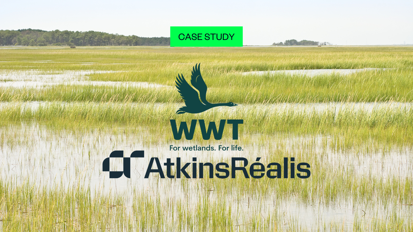 Case Study: Remotely Sensing Habitat Condition for Landscape Recovery
