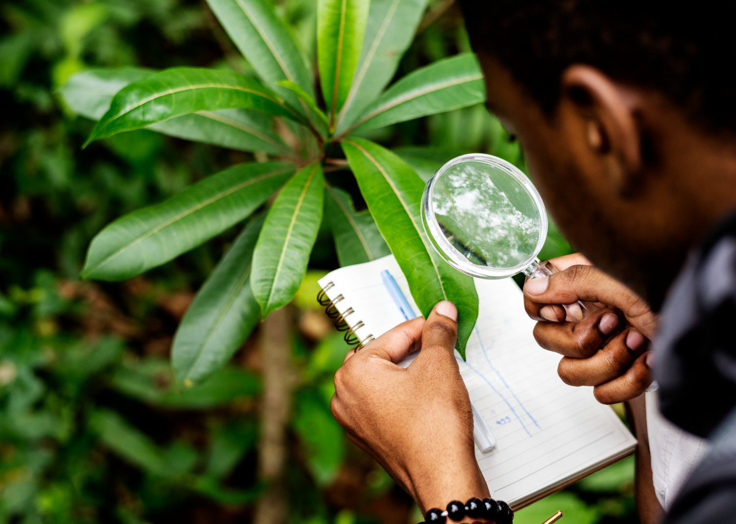 Methods of Measuring Biodiversity: Species Richness, Evenness, and Beyond