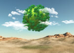 COP16 and the Race to Protect Biodiversity: From Promises to Global Action